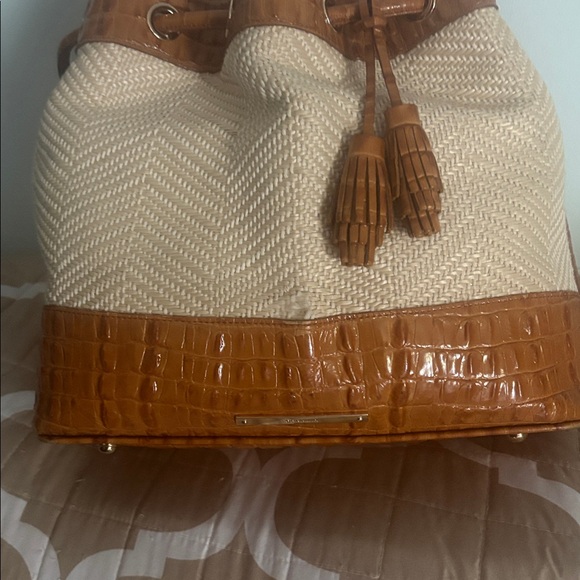 Brahmin - Picture 4 of 7